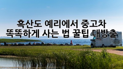 🚗 흑산도 예리에서 중고차, 똑똑하게 사는 법! 꿀팁 대방출 🍯