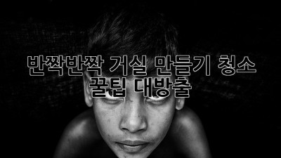 ✨반짝반짝 거실 만들기✨ 청소 꿀팁 대방출!